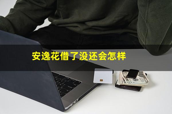安逸花借了没还会怎样