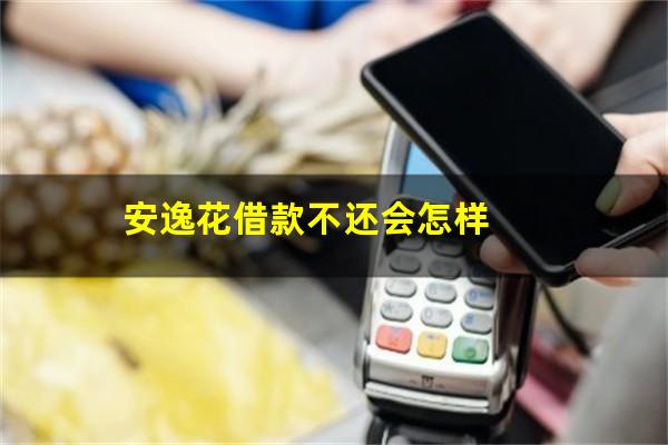 安逸花借款不还会怎样