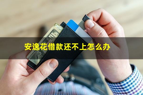 安逸花借款还不上怎么办