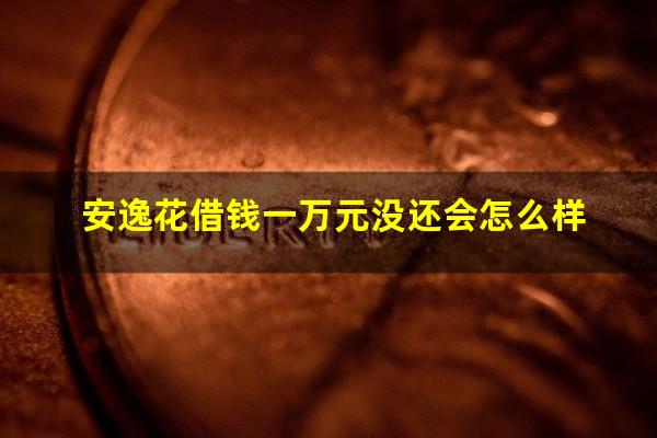 安逸花借钱一万元没还会怎么样