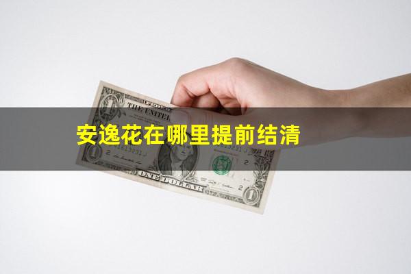 安逸花在哪里提前结清