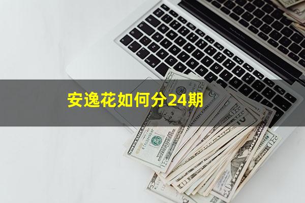 安逸花如何分24期
