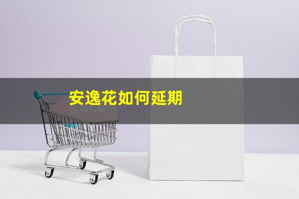 安逸花如何延期