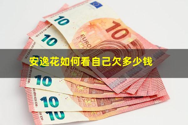 安逸花如何看自己欠多少钱