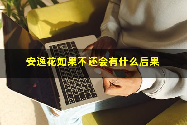 安逸花如果不还会有什么后果