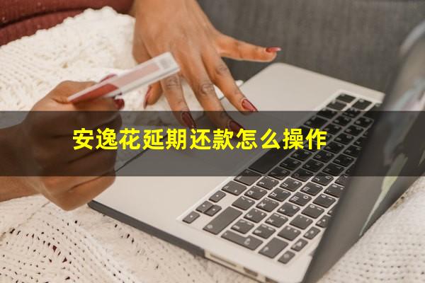 安逸花延期还款怎么操作
