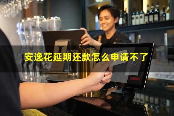 安逸花延期还款怎么申请不了