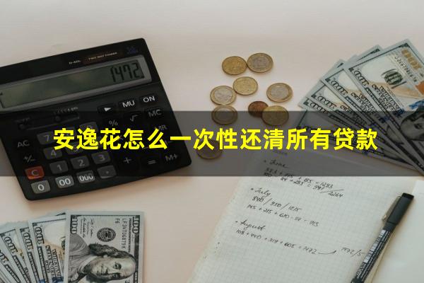 安逸花怎么一次性还清所有贷款