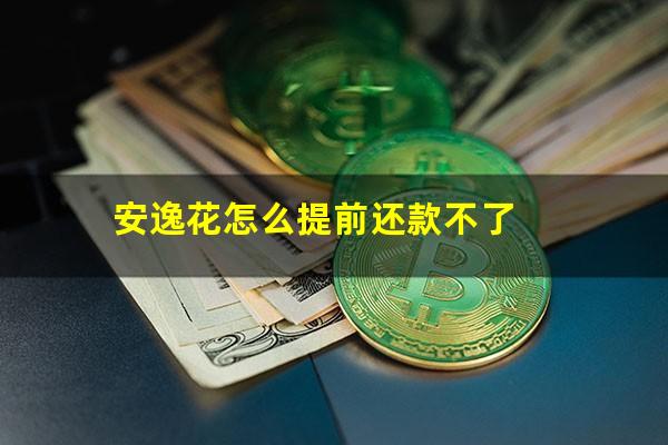 安逸花怎么提前还款不了