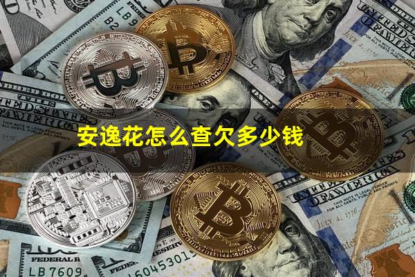 安逸花怎么查欠多少钱