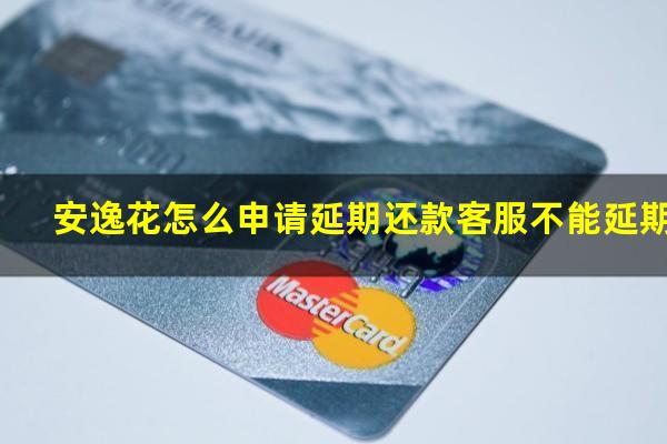 安逸花怎么申请延期还款客服不能延期