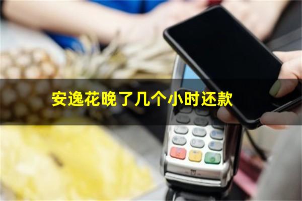安逸花晚了几个小时还款