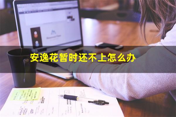 安逸花暂时还不上怎么办