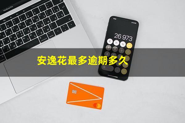 安逸花最多逾期多久