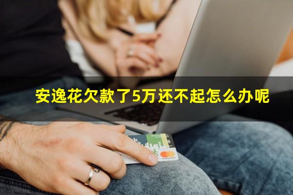 安逸花欠款了5万还不起怎么办呢
