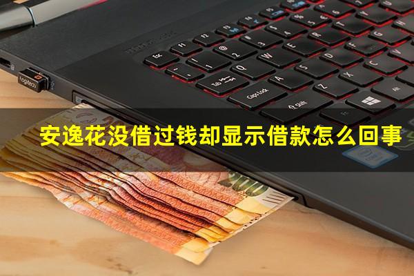 安逸花没借过钱却显示借款怎么回事
