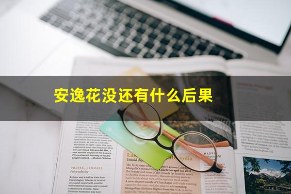安逸花没还有什么后果