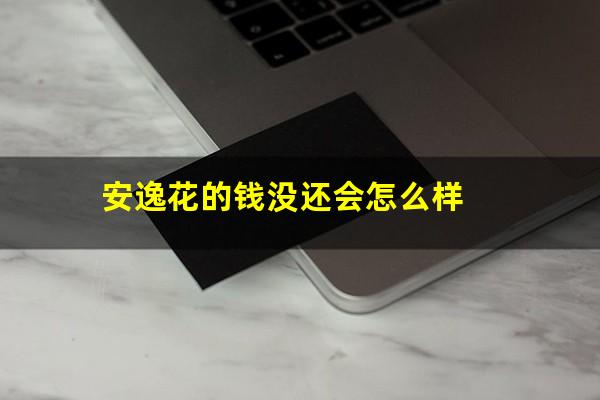 安逸花的钱没还会怎么样