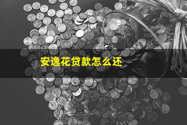 安逸花贷款怎么还