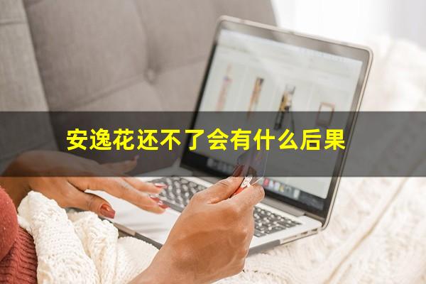 安逸花还不了会有什么后果