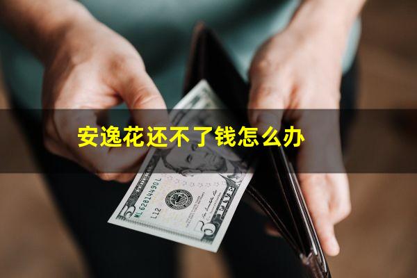 安逸花还不了钱怎么办