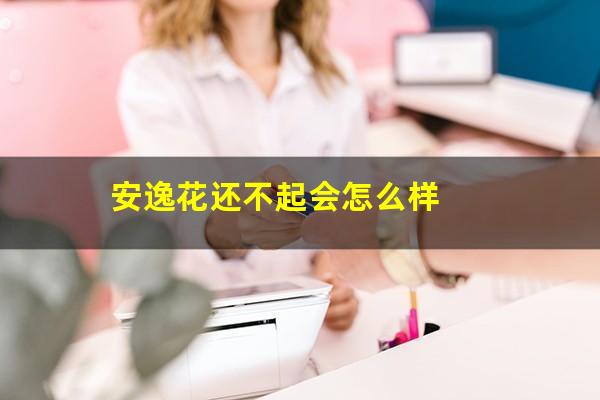 安逸花还不起会怎么样
