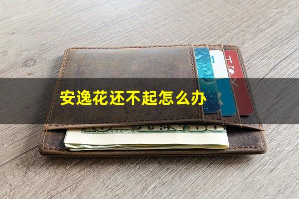安逸花还不起怎么办