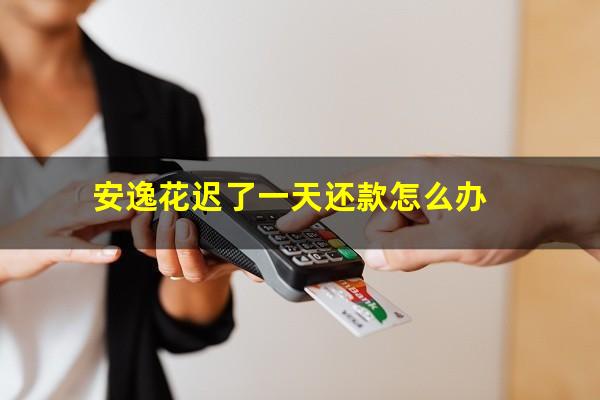 安逸花迟了一天还款怎么办
