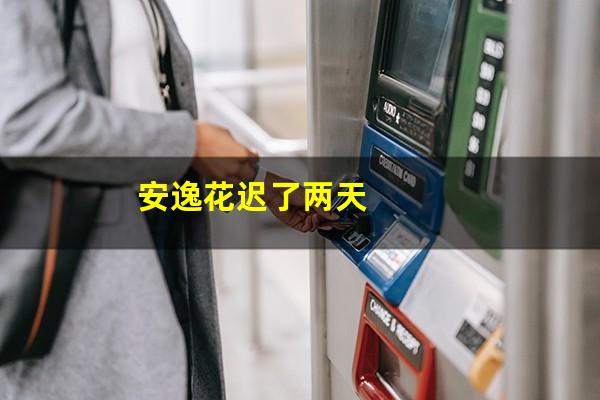 安逸花迟了两天