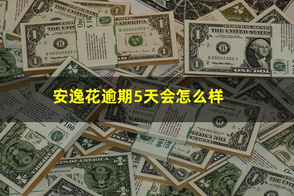安逸花逾期5天会怎么样
