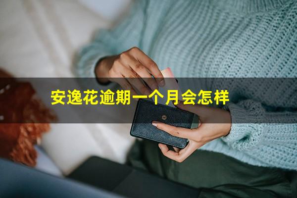 安逸花逾期一个月会怎样