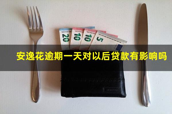 安逸花逾期一天没多大问题吧 安逸花逾期一天对以后贷款有影响吗