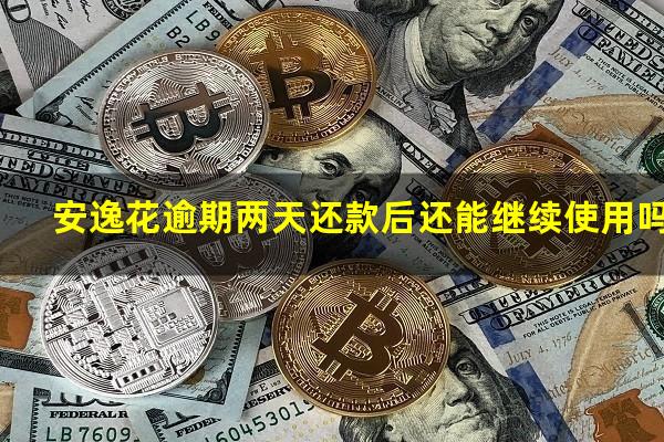安逸花逾期两天还款后还能继续使用吗