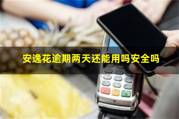 安逸花逾期两天还能用吗安全吗