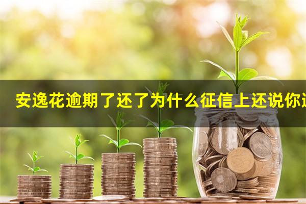 安逸花逾期了还了为什么征信上还说你逾期