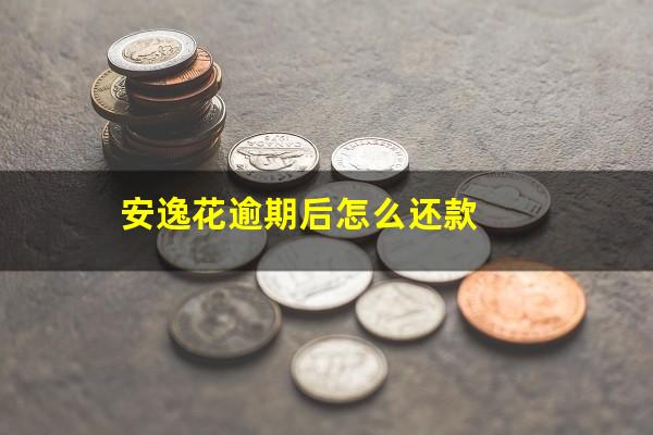 安逸花逾期后怎么还款