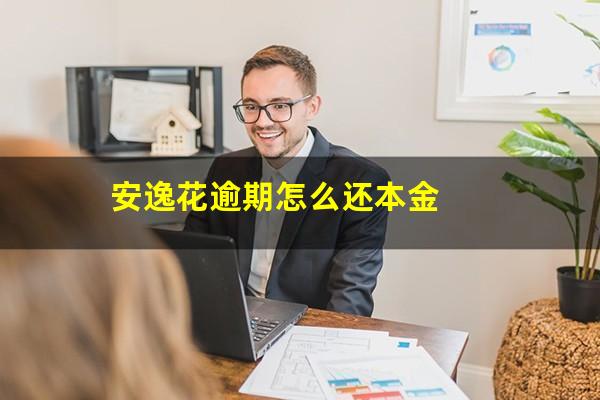 安逸花逾期怎么还本金
