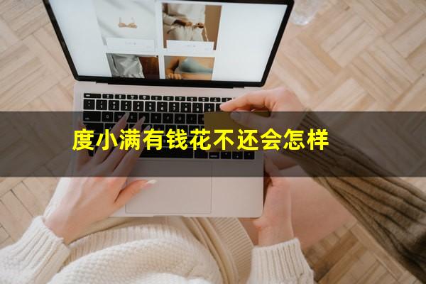 度小满有钱花不还会怎样