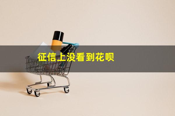 征信上没看到花呗
