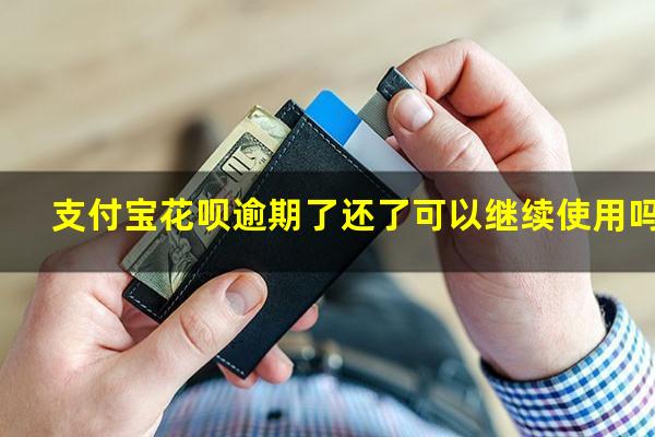 支付宝花呗逾期了还了可以继续使用吗