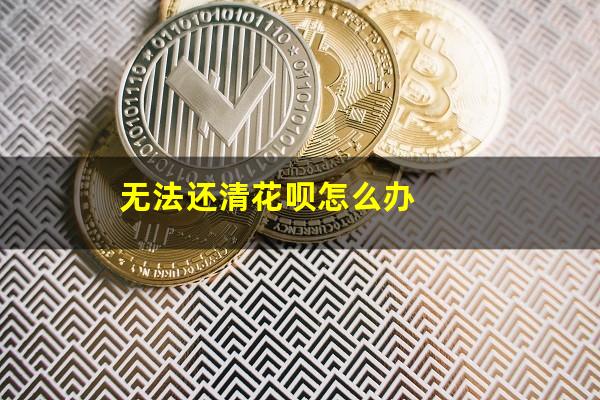 无法还清花呗怎么办