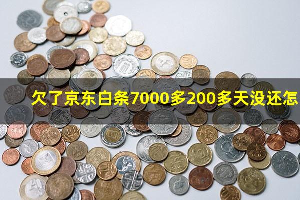 欠了京东白条7000多200多天没还怎么办