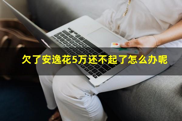 欠了安逸花5万还不起了怎么办呢