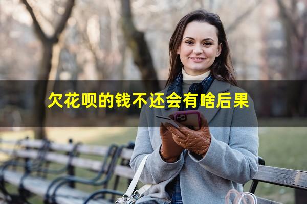 欠花呗的钱不还会有啥后果