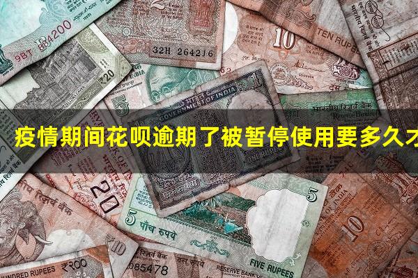 疫情期间花呗逾期了被暂停使用要多久才能恢复