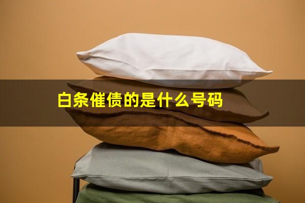 白条催债的是什么号码