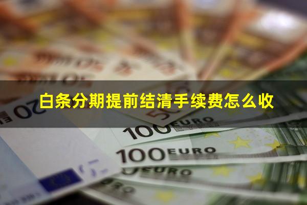 白条分期提前结清手续费怎么收