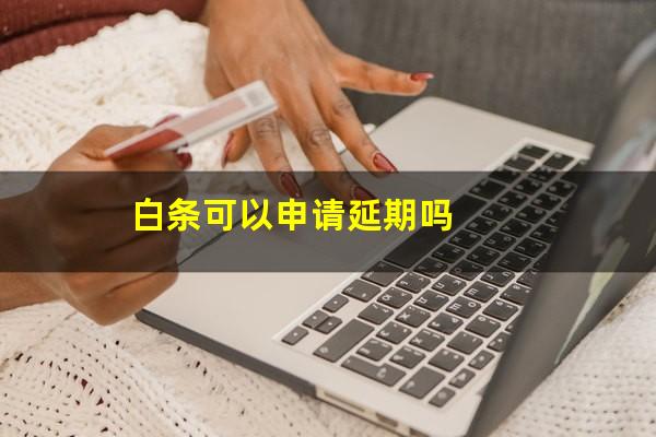 白条可以申请延期吗