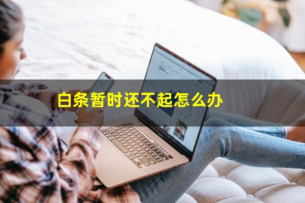白条暂时还不起怎么办