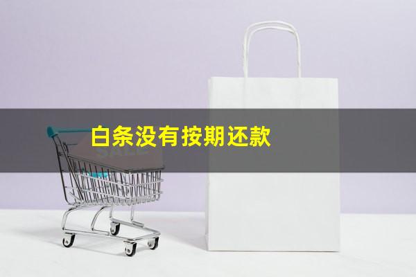 白条没有按期还款